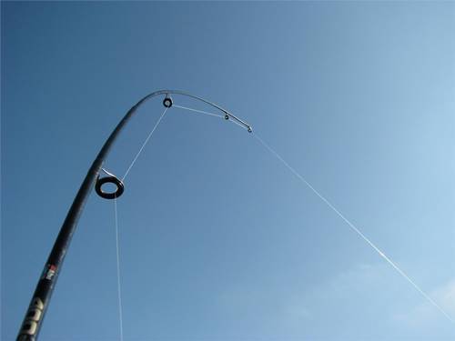 Fishing Rod Line