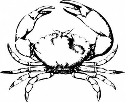 Zodiac Sign Cancer The Crab