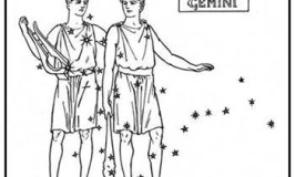 Zodiac Sign Gemini The Twins