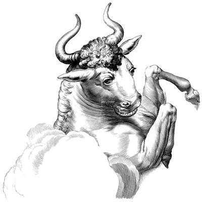 Taurus the Bull