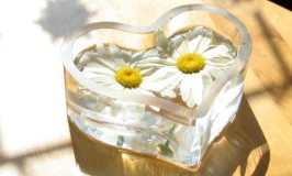 Flowers in a Heart Shaped Glass Vase